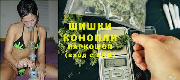 СК Балахна