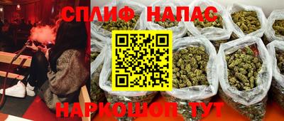 mdpv Можга