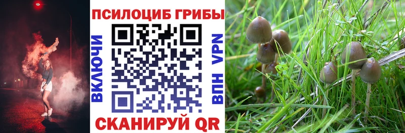 MEGA ссылки  Борисоглебск  Галлюциногенные грибы MAGIC MUSHROOMS 