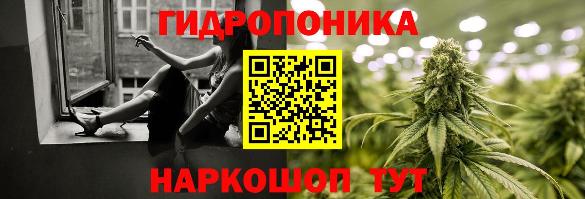 Бошки Шишки план  Бошки марихуана сатива  Конопля марихуана  Конопля планчик  Борисоглебск  Вход с VPN 